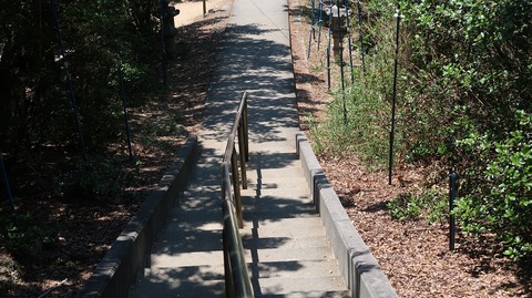 20220701125216_IMG_4702