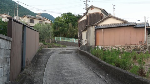 20220701192110_IMG_4802