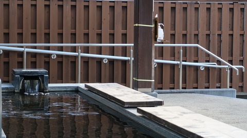 20210919101535_IMG_2107