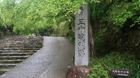 20220501134755_IMG_3768