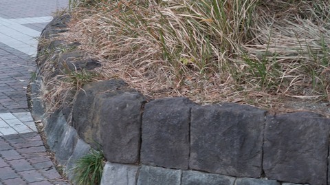 20211205165050_IMG_2407