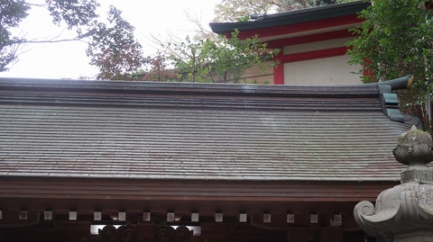 20221217131312_IMG_7451