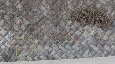 20190223162209_IMG_1082