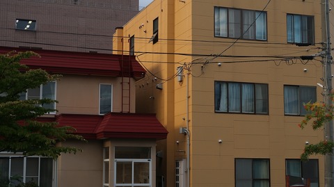 20200921165522_IMG_8201