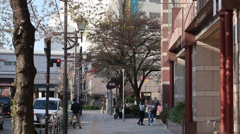 20220409165338_IMG_3360