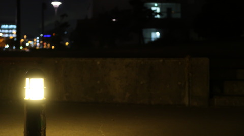 20190130191918_IMG_0834