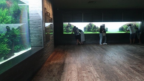 20220730181326_IMG_5303