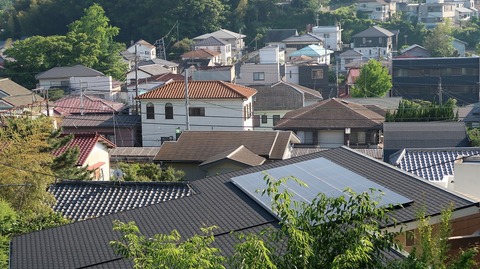 20190525162438_IMG_2478