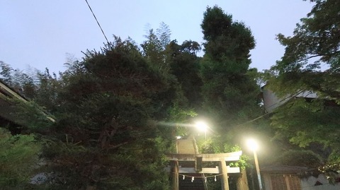 20220515193033_IMG_4331