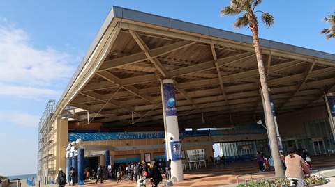 20190223101751_IMG_0964