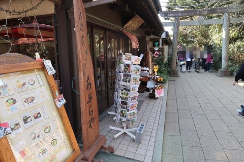 20190223133705_IMG_1042