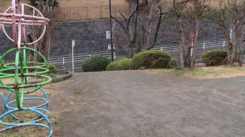 20190209101459_IMG_0867