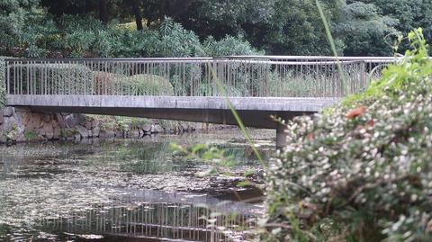 20200815180452_IMG_7407