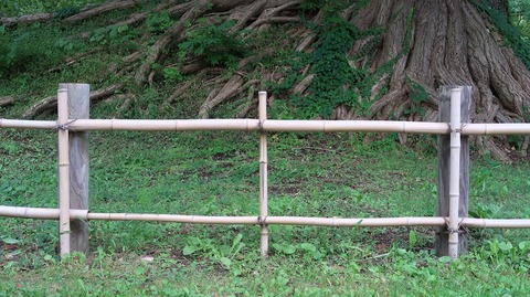 20200921150030_IMG_8161