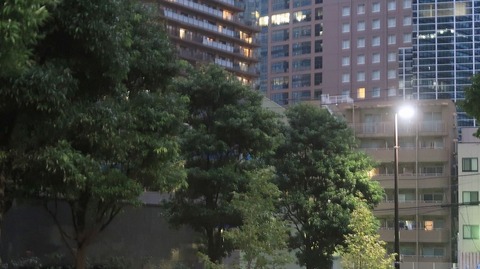 20201011174108_IMG_8495