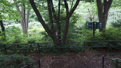 20220611175459_IMG_4638