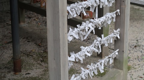 20220813091014_IMG_5779