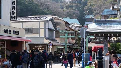 20190223105511_IMG_0981