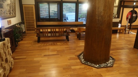 20230506180000_IMG_8253