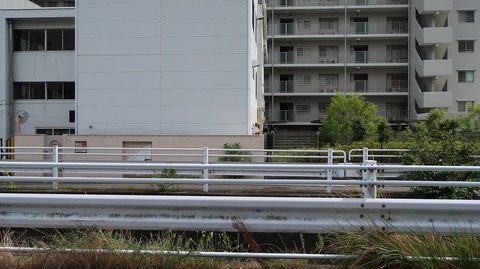 20220812141218_IMG_5704