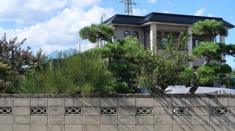 20200920132708_IMG_8039