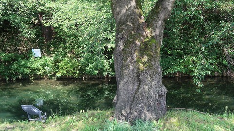 20200921114155_IMG_8121