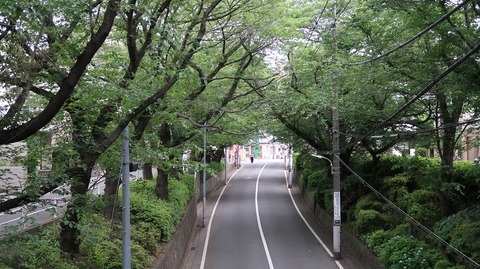 20200531153713_IMG_6376