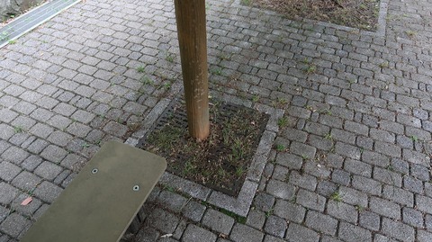 20220611180742_IMG_4627