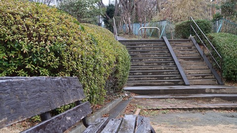 20190209102437_IMG_0873