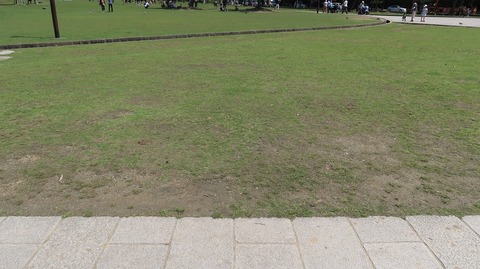 20240502130732_IMG_1013