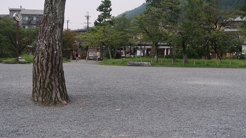 20200808110437_IMG_7092