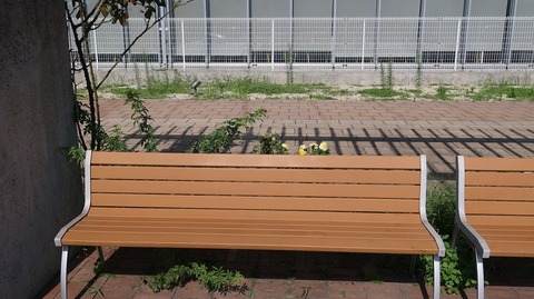 20190915092810_IMG_3711