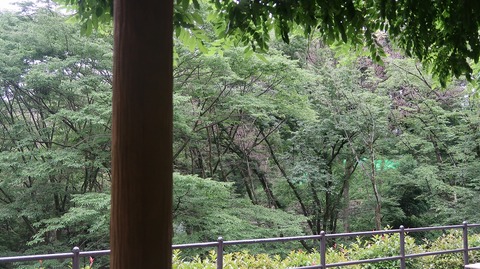 20220611181323_IMG_4637