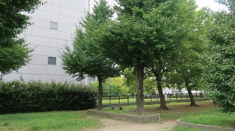 20220812140546_IMG_5693