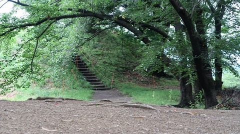 20190714161319_IMG_2952