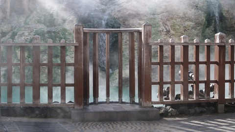 20231118091025_IMG_0516