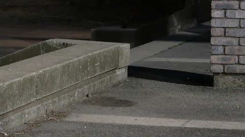 20190321183113_IMG_1200