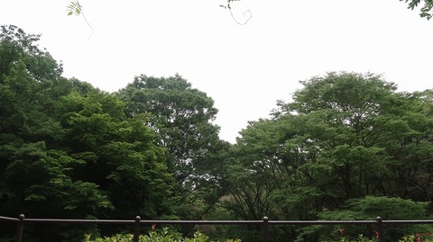 20220611180615_IMG_4625