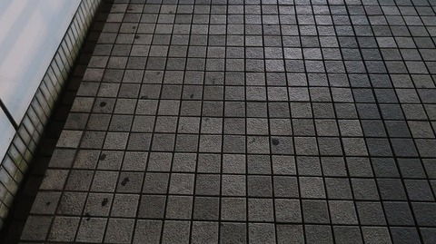 20200616221751_IMG_6488