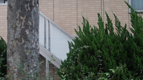 20230513173547_IMG_8309