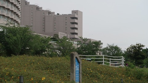 20230610155213_IMG_8474