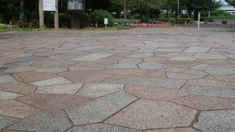 20220807153409_IMG_5433