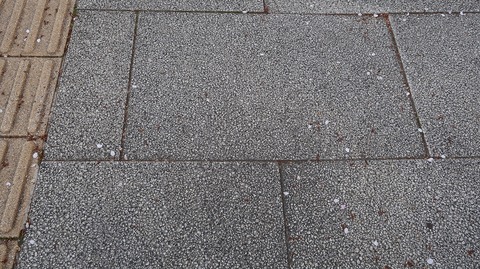 20220409165100_IMG_3358