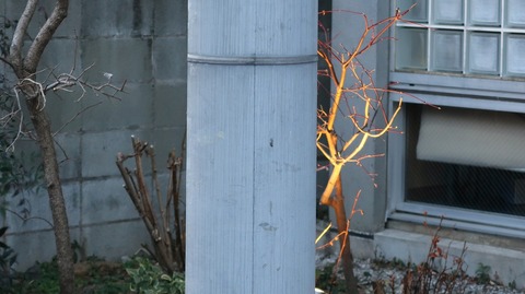 20210211173930_IMG_0355