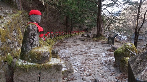 20211219124111_IMG_2498