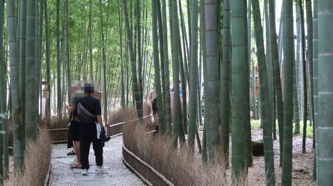 ScreenShot Tool -20250911222348_result_