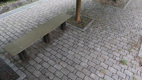 20220611181134_IMG_4634