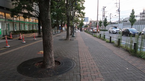 20220827180110_IMG_5994
