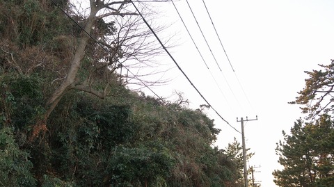 20210206171222_IMG_0276