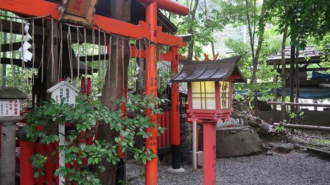 20200808102310_IMG_7069